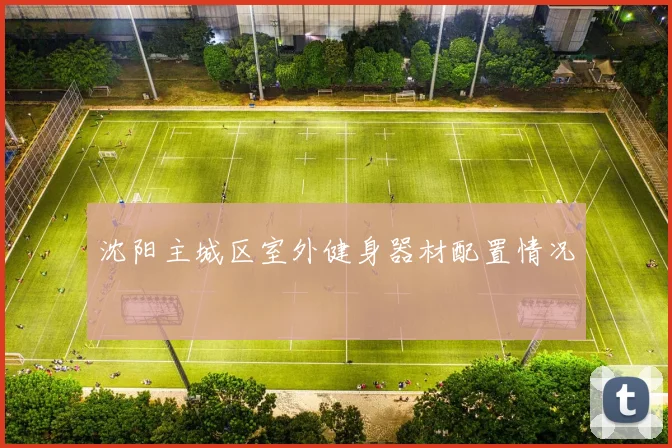 沈阳主城区室外健身器材配置情况
